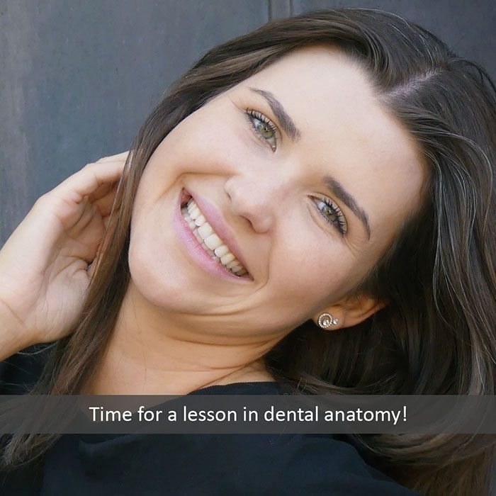 Heninger Dental: Dr Cam Heninger in Orem dental anatomy 2022 700
